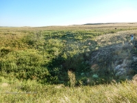 Карстовое поле Нижняя Туембетка. 2016 год