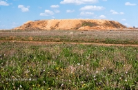 Гора Полковник. Май 2015 года