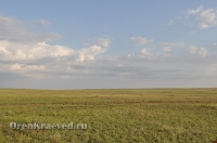 Ащисайская степь (участок госзаповедника «Оренбургский»)