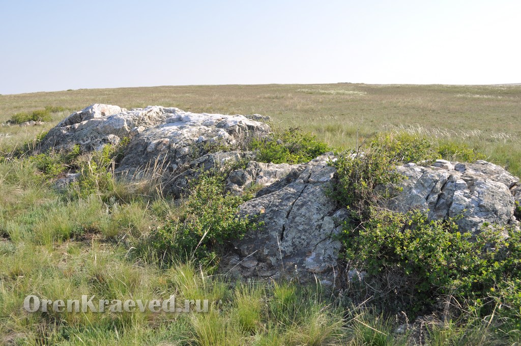 Ащисайская степь (участок госзаповедника «Оренбургский»)
