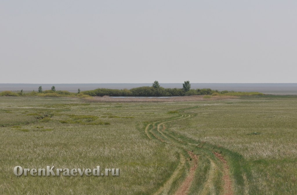 Ащисайская степь (участок госзаповедника «Оренбургский»)