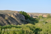 Богоявленский обрыв. Май 2012 года
