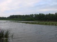 Река Сакмара