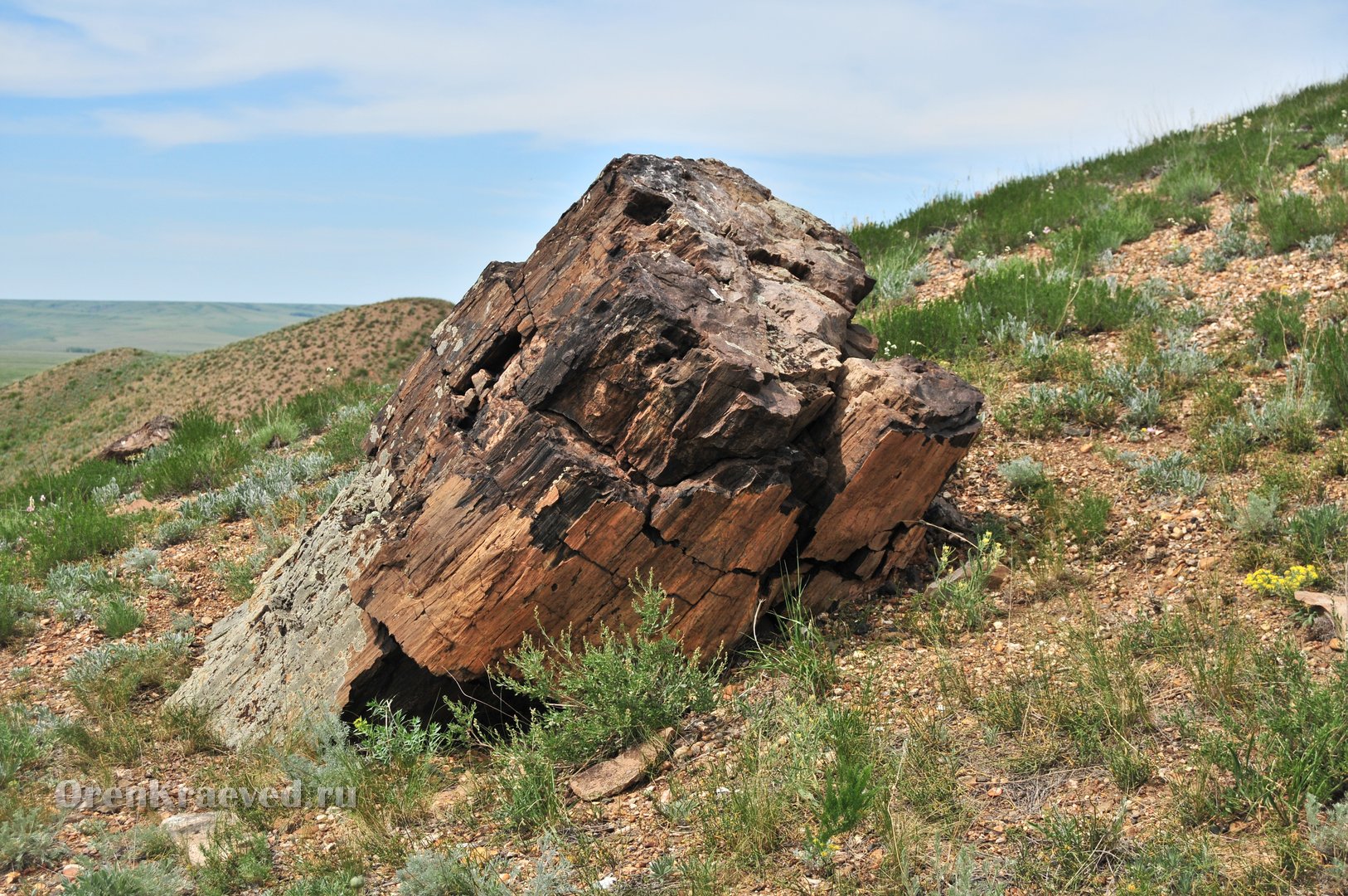 Гора Буркутбай