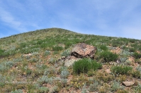 Гора Буркутбай