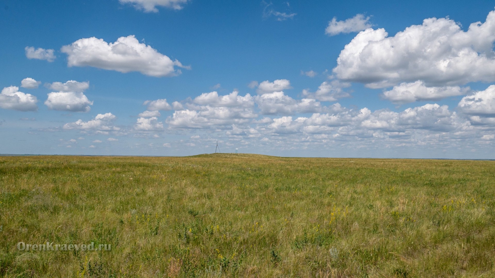 Урочище Чертово Городище. Июнь 2020 года