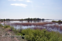 Кумакское водохранилище
