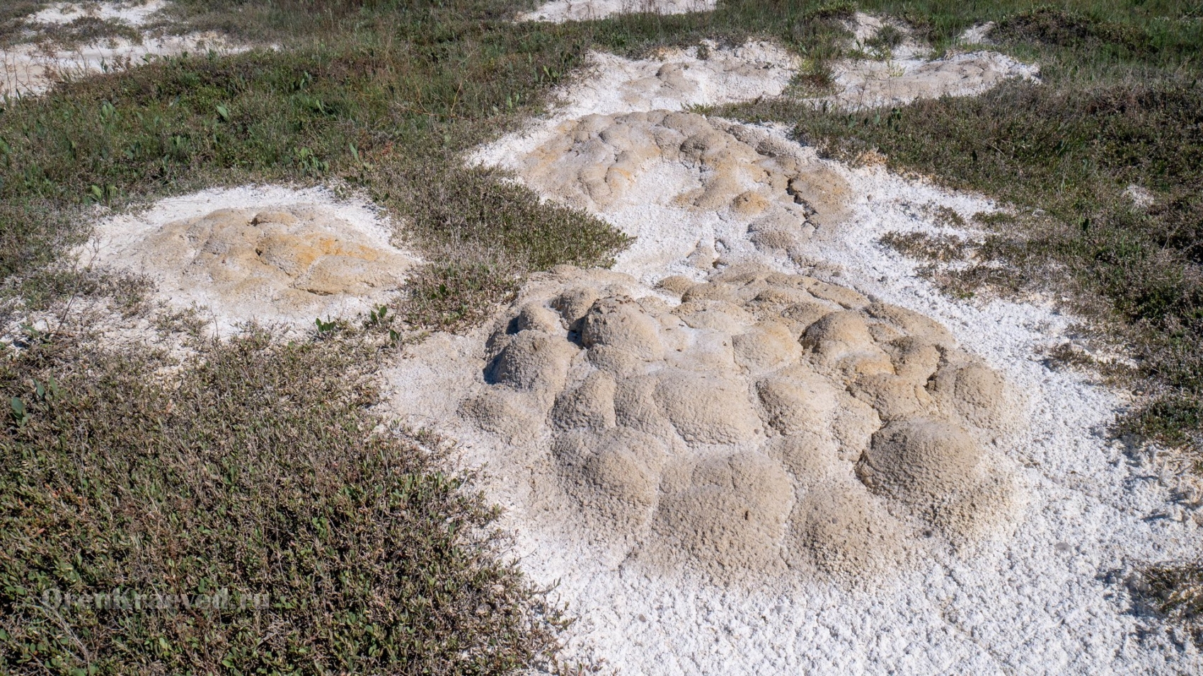 Урочище Сазды. Май 2021 года