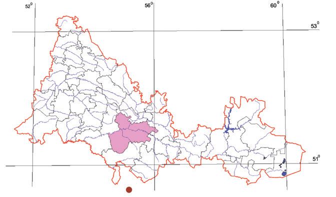 Распространение Сетчатый красотел – Callisthenes reticulatus