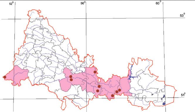 Распространение Карликовая ксилокопа – Xylocopa iris