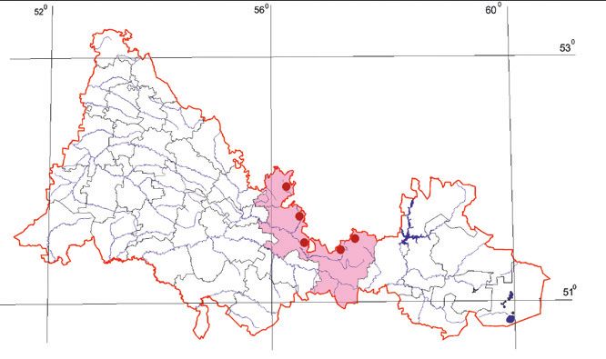 Распространение Европейский хариус – Thymallus thymallus (популяции бассейна реки Урал)