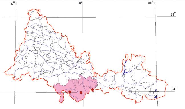 Распространение Круглоголовка-вертихвостка – Phrynocephalus guttatus