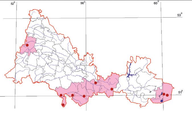 Распространение Разноцветная ящурка – Eremias arguta Распространение Разноцветная ящурка – Eremias arguta