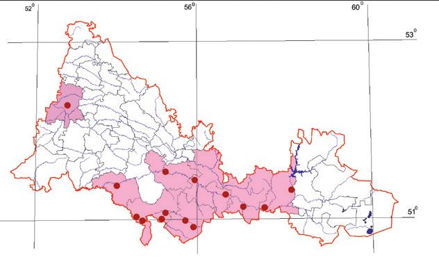 Распространение Европейский тювик – Accipiter brevipes