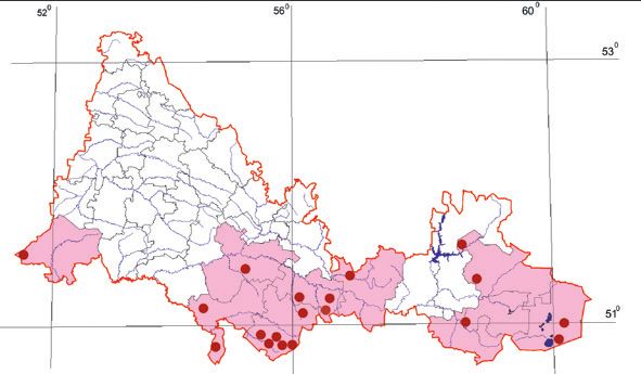 Распространение Степной орел – Aquila nipalensis Распространение Степной орел – Aquila nipalensis