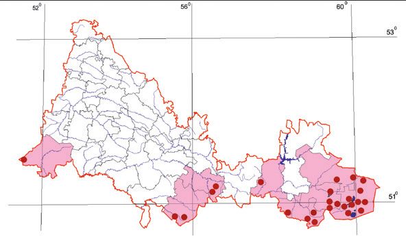 Распространение Чёрный жаворонок – Melanocorypha yeltoniensis