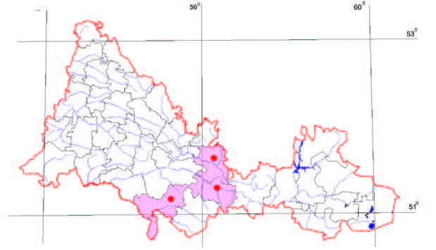 Распространение Лук голубой – Allium caeruleum Pall.