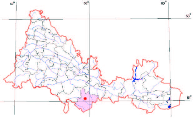 Распространение Козелец клубненосный – Scorzonera tuberose Pall.