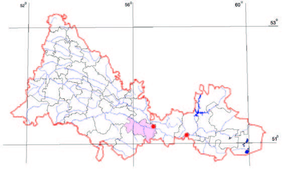 Распространение Козлобородник окаймленный – Tragopogon marginifolius Pavl.