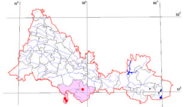 Распространение Наголоватка киргизская – Jurinea kirghizorum Janisch.