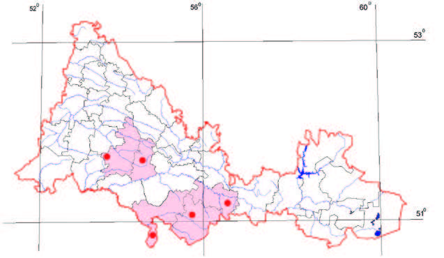 Распространение Левкой душистый – Matthiola fragrans Bunge
