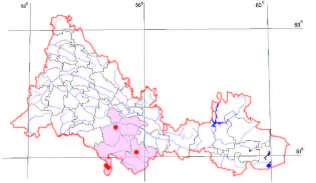 Распространение Астрагал вздутоплодный – Astragalus physocarpus Lebeb.