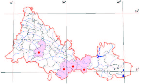 Распространение Копеечник Разумовского – Hedysarum razoumovianum Helm, et Fisch.