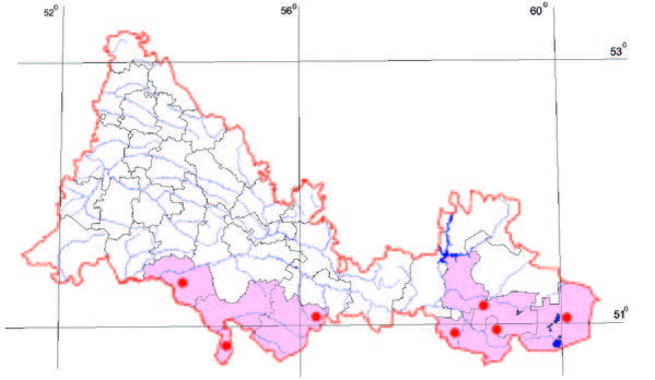 Распространение Солодка Коржинского – Glycyrrhiza korshinskyi Grig.
