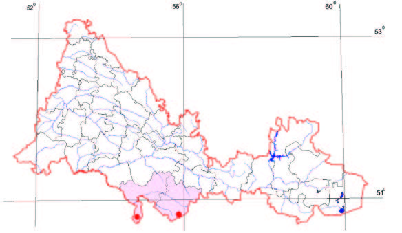 Распространение Эремоспартон безлистный – Eremosparton aphyllum (Pall.) Fisch. ex C.A. Mey.