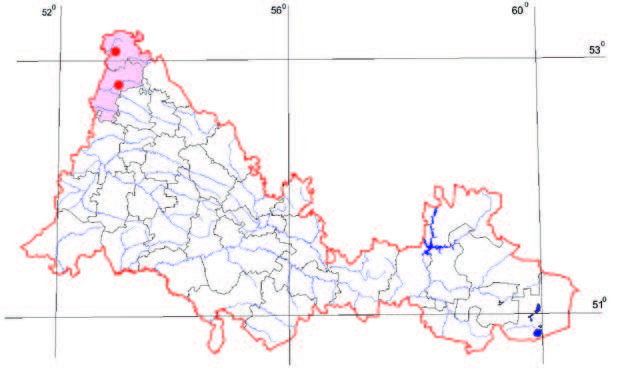 Распространение Шаровница крапчатая – Globularia punctata Lapeyr. (G. willkommi Nym.)