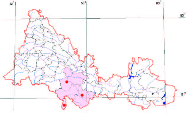 Распространение Тюльпан Шренка – Tulipa schrenkii Regel.