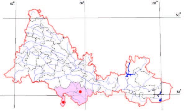 Распространение Кермек меловой – Limonium cretaceum Tscherkasova