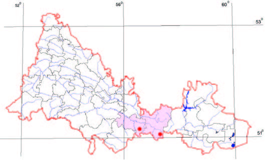 Распространение Прострел раскрытый – Pulsatilla patens (L.) Mill. s. str.