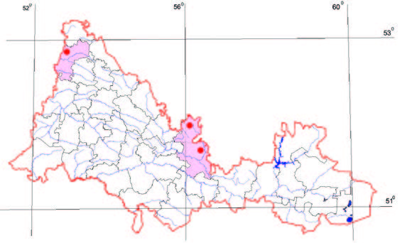 Распространение Наперстянка крупноцветковая – Digitalis grandiflora Mill.