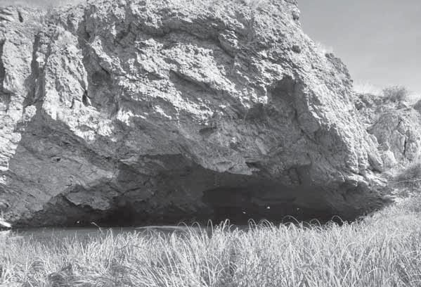 Грот Голубиный