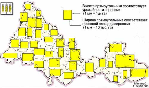 Зерновые культуры