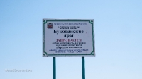 Букобайские яры. Август 2021 года