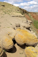 Букобайские яры. Август 2021 года