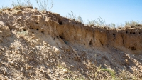 Галечный карьер в верховьях балки Ахметовой. Август 2021 года