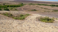 Гора Змеиная (Ханская гора, Могила хана, Михайловская гора). Август 2021 года