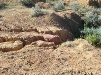 Гора Полковник. Август 2010 года