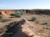 Гора Полковник. Август 2010 года