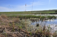 Озера Косколь. Май 2013 года