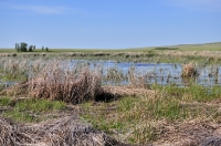 Озера Косколь. Май 2013 года