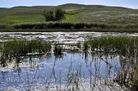 Озера Косколь