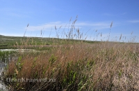 Озера Косколь. Май 2013 года