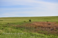 Озера Косколь. Май 2013 года