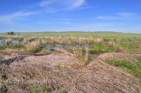 Озера Косколь. Май 2013 года