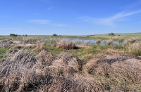 Озера Косколь. Май 2013 года