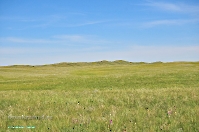 Горы Кармен. Май 2013 года